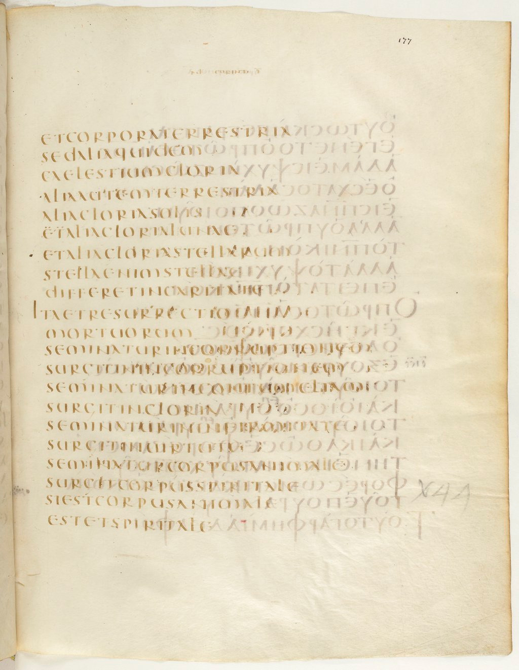 Codex Claromontanus (Scan 1) showing 1 Corinthians 15:49 from 5th / 6th Century found in Clermont-Ferrand, France, currently housed at Bibliothèque nationale de France, Paris