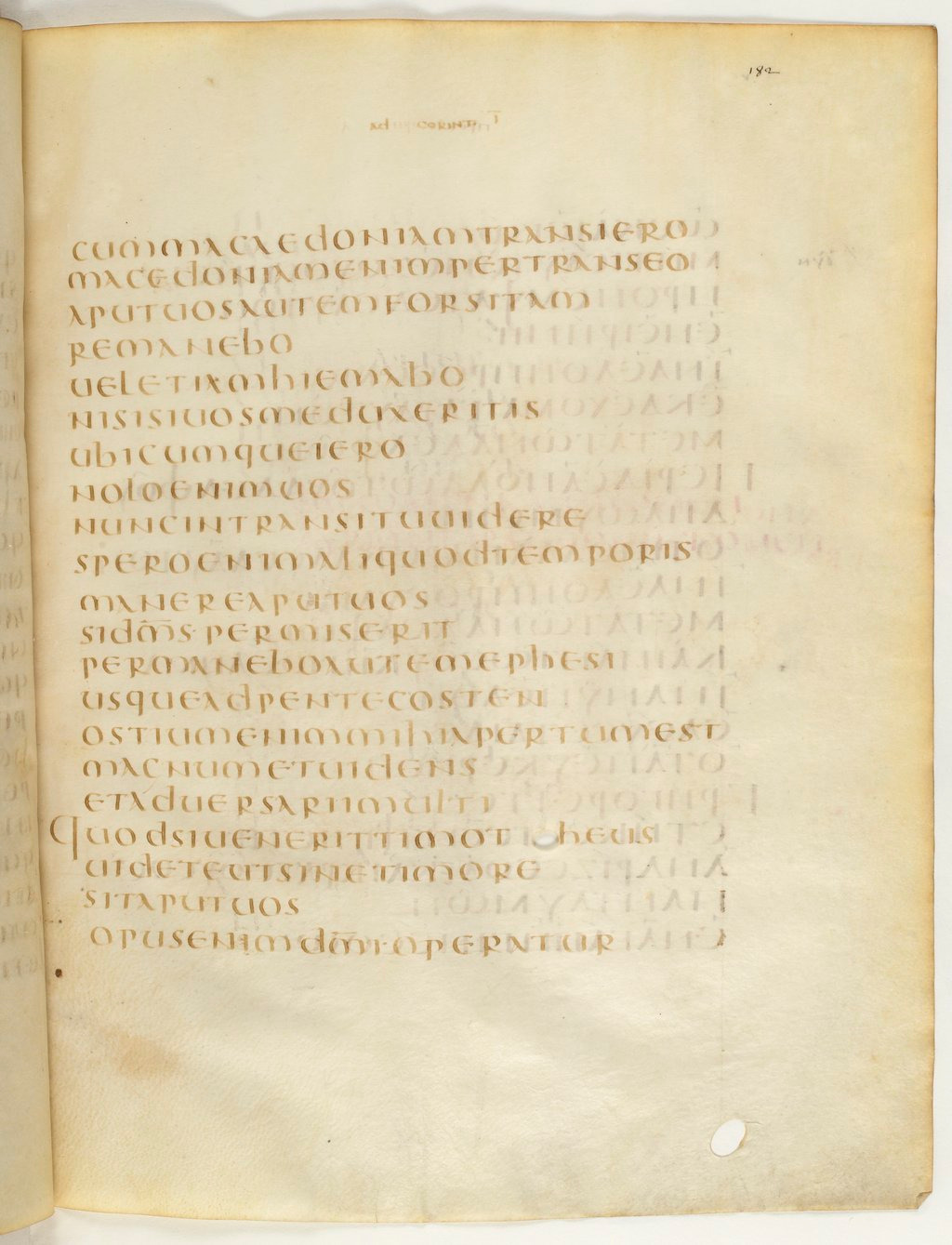 Codex Claromontanus (Scan 2) showing 1 Corinthians 16:7 from 5th / 6th Century found in Clermont-Ferrand, France, currently housed at Bibliothèque nationale de France, Paris