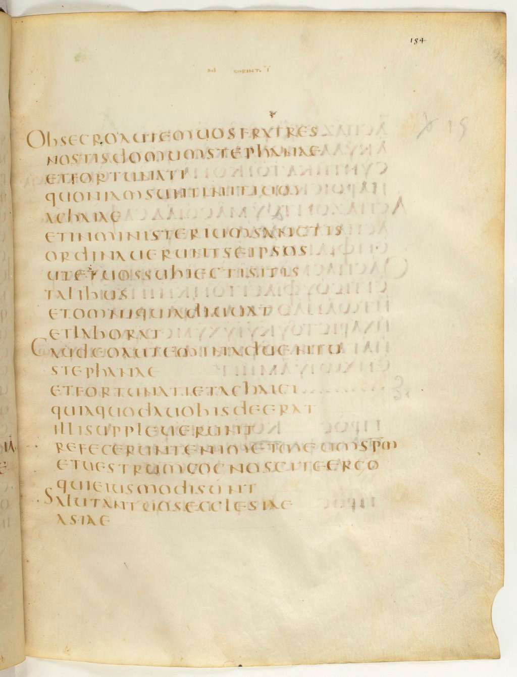 Codex Claromontanus (Scan 2) showing 1 Corinthians 16:16 from 5th / 6th Century found in Clermont-Ferrand, France, currently housed at Bibliothèque nationale de France, Paris