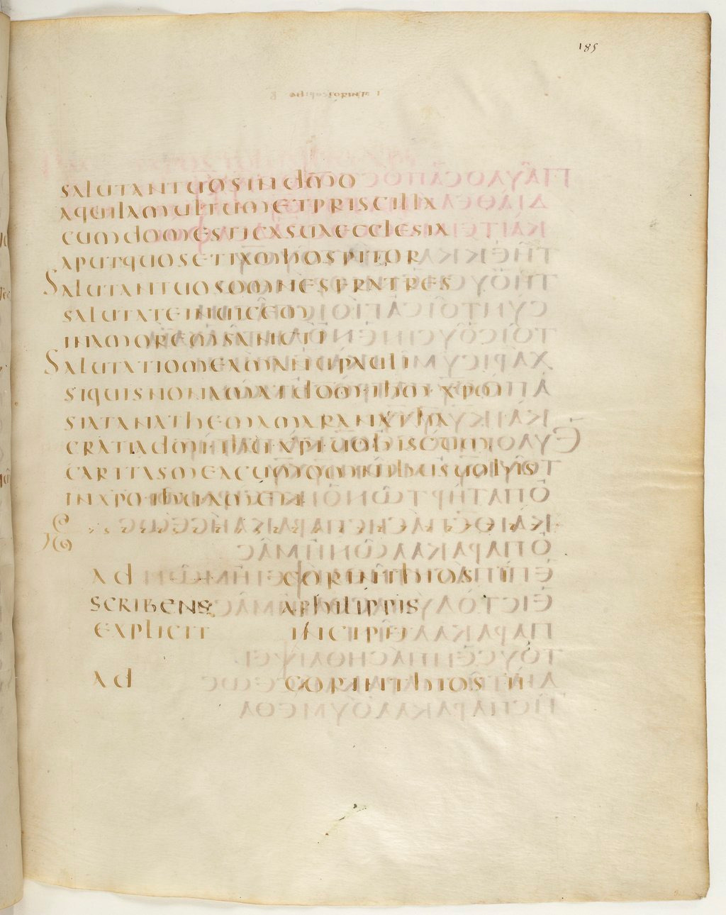 Codex Claromontanus (Scan 2) showing 1 Corinthians 16:22 from 5th / 6th Century found in Clermont-Ferrand, France, currently housed at Bibliothèque nationale de France, Paris