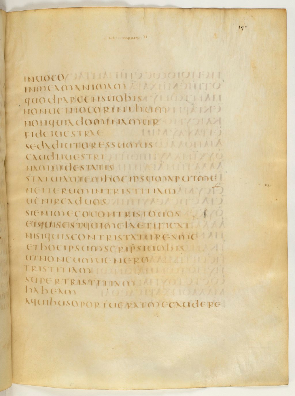 Codex Claromontanus (Scan 2) showing 2 Corinthians 2:3 from 5th / 6th Century found in Clermont-Ferrand, France, currently housed at Bibliothèque nationale de France, Paris