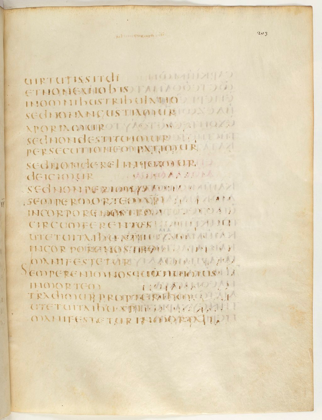 Codex Claromontanus (Scan 4) showing 2 Corinthians 4:7 from 5th / 6th Century found in Clermont-Ferrand, France, currently housed at Bibliothèque nationale de France, Paris