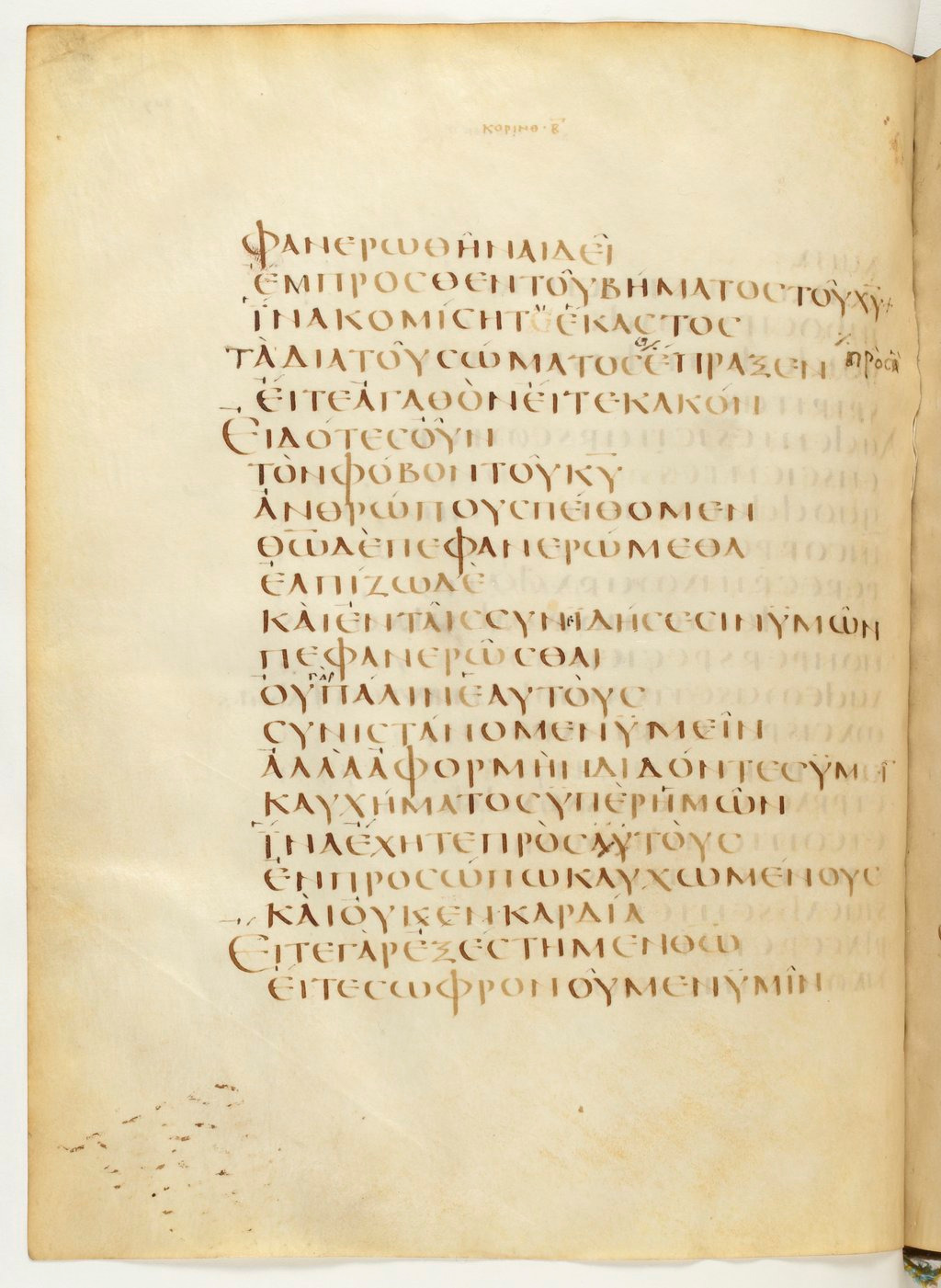Codex Claromontanus (Scan 1) showing 2 Corinthians 5:13 from 5th / 6th Century found in Clermont-Ferrand, France, currently housed at Bibliothèque nationale de France, Paris