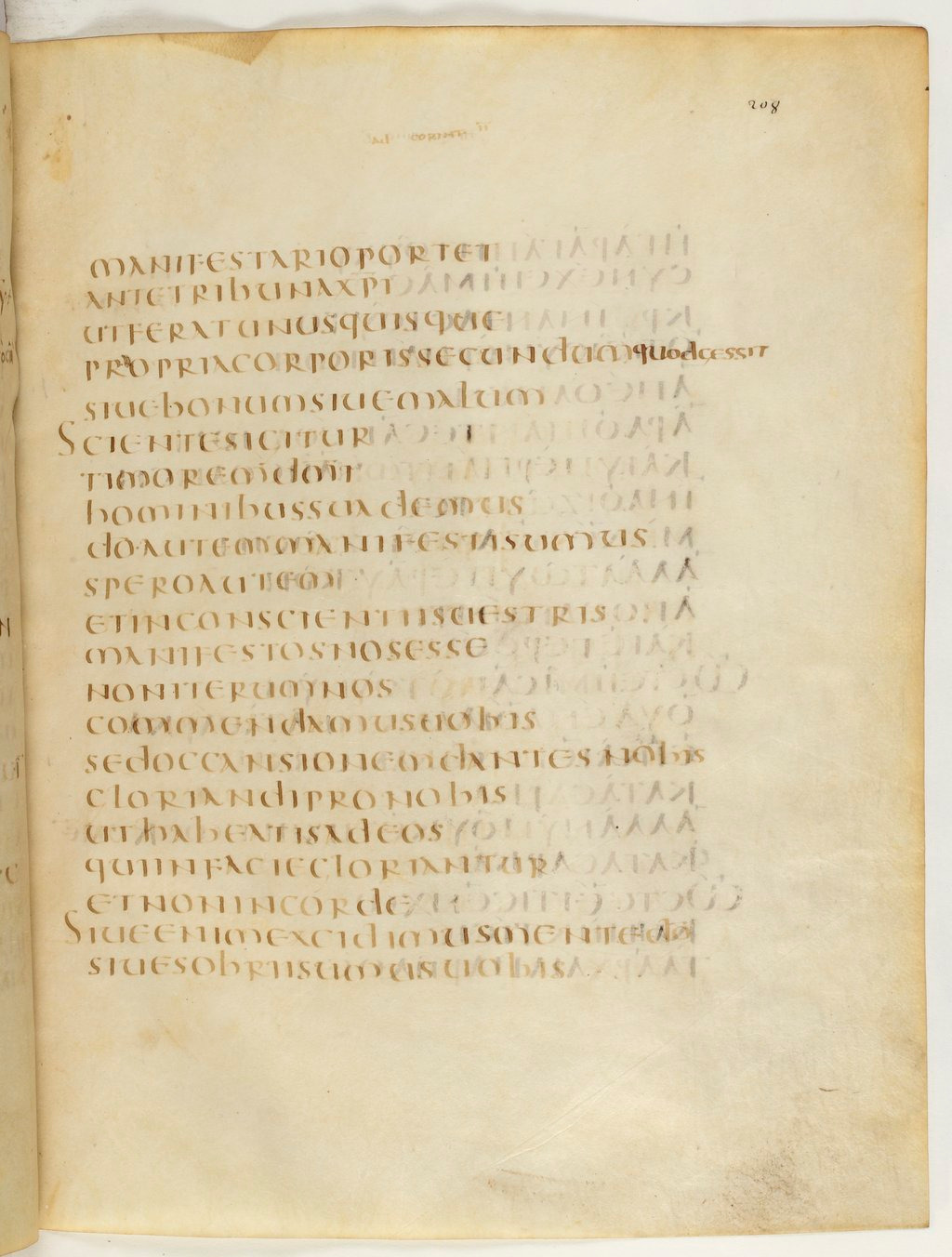 Codex Claromontanus (Scan 2) showing 2 Corinthians 5:13 from 5th / 6th Century found in Clermont-Ferrand, France, currently housed at Bibliothèque nationale de France, Paris