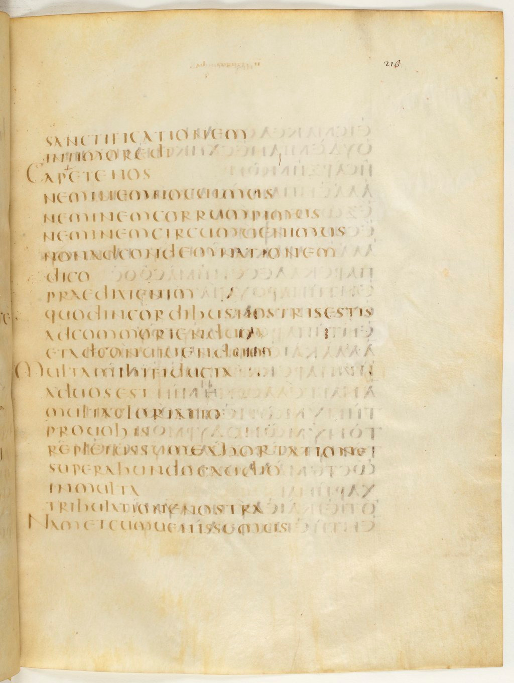 Codex Claromontanus (Scan 2) showing 2 Corinthians 7:2 from 5th / 6th Century found in Clermont-Ferrand, France, currently housed at Bibliothèque nationale de France, Paris