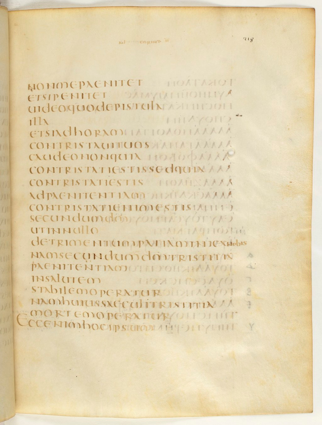 Codex Claromontanus (Scan 4) showing 2 Corinthians 7:8 from 5th / 6th Century found in Clermont-Ferrand, France, currently housed at Bibliothèque nationale de France, Paris