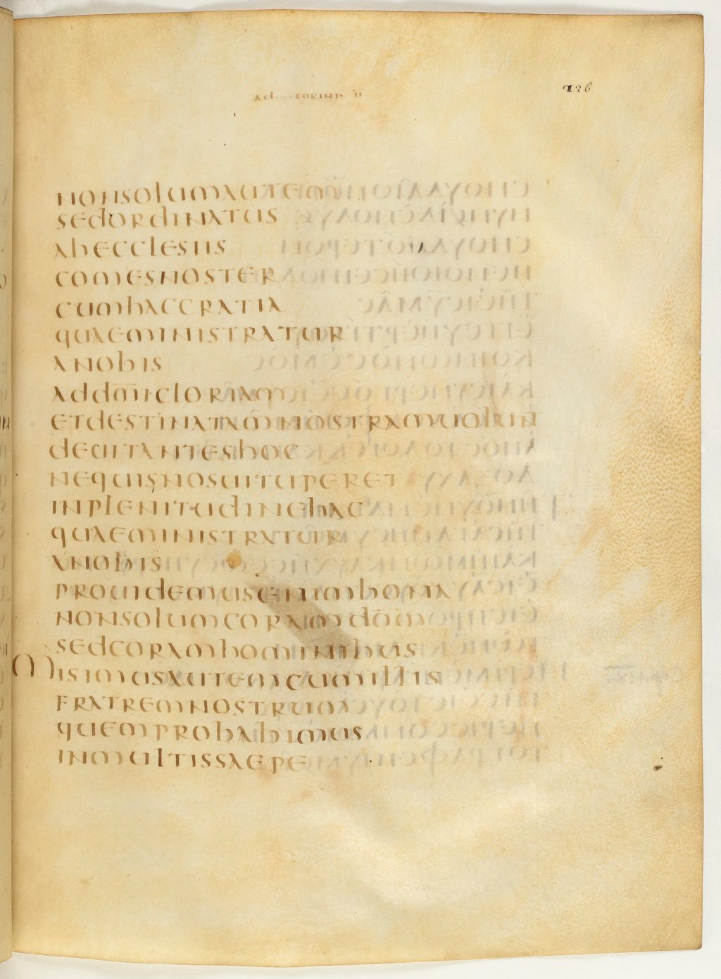 Codex Claromontanus (Scan 2) showing 2 Corinthians 8:21 from 5th / 6th Century found in Clermont-Ferrand, France, currently housed at Bibliothèque nationale de France, Paris