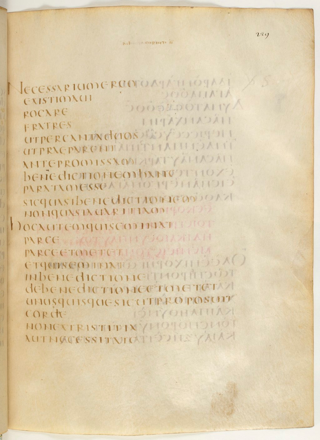 Codex Claromontanus (Scan 2) showing 2 Corinthians 9:7 from 5th / 6th Century found in Clermont-Ferrand, France, currently housed at Bibliothèque nationale de France, Paris