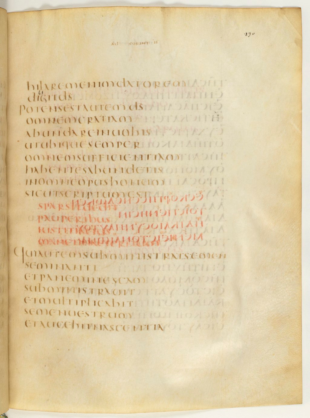 Codex Claromontanus (Scan 4) showing 2 Corinthians 9:7 from 5th / 6th Century found in Clermont-Ferrand, France, currently housed at Bibliothèque nationale de France, Paris