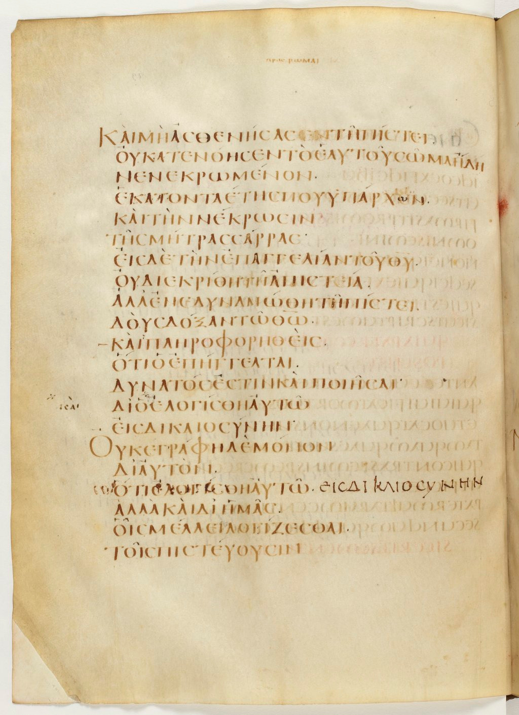 Codex Claromontanus (Scan 1) showing Romans 4:21 from 5th / 6th Century found in Clermont-Ferrand, France, currently housed at Bibliothèque nationale de France, Paris