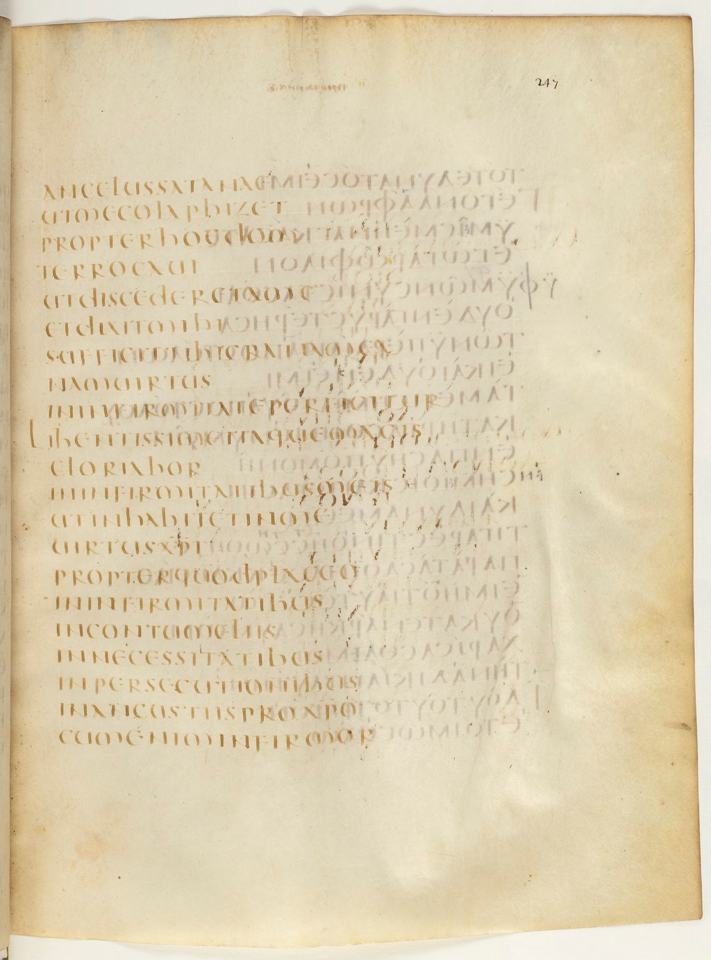 Codex Claromontanus (Scan 4) showing 2 Corinthians 12:7 from 5th / 6th Century found in Clermont-Ferrand, France, currently housed at Bibliothèque nationale de France, Paris
