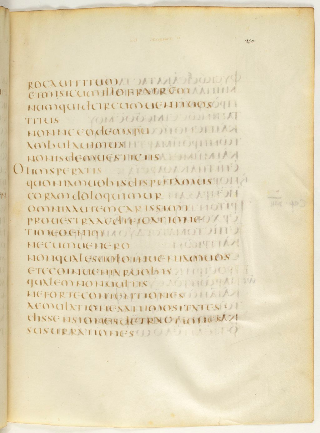 Codex Claromontanus (Scan 2) showing 2 Corinthians 12:19 from 5th / 6th Century found in Clermont-Ferrand, France, currently housed at Bibliothèque nationale de France, Paris