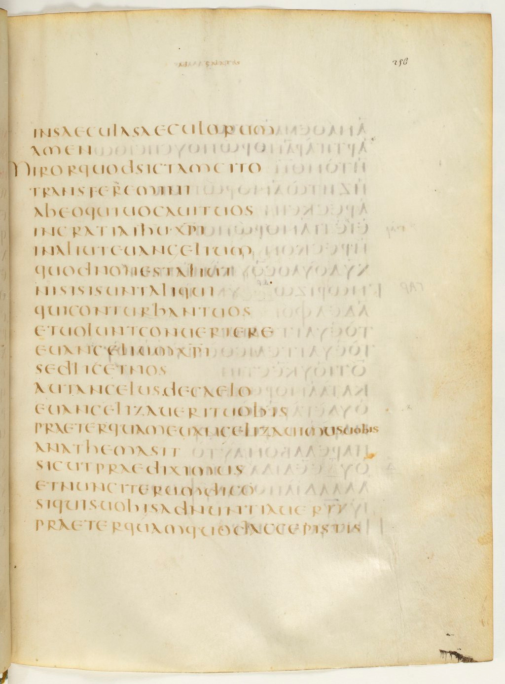 Codex Claromontanus (Scan 2) showing Galatians 1:7 from 5th / 6th Century found in Clermont-Ferrand, France, currently housed at Bibliothèque nationale de France, Paris