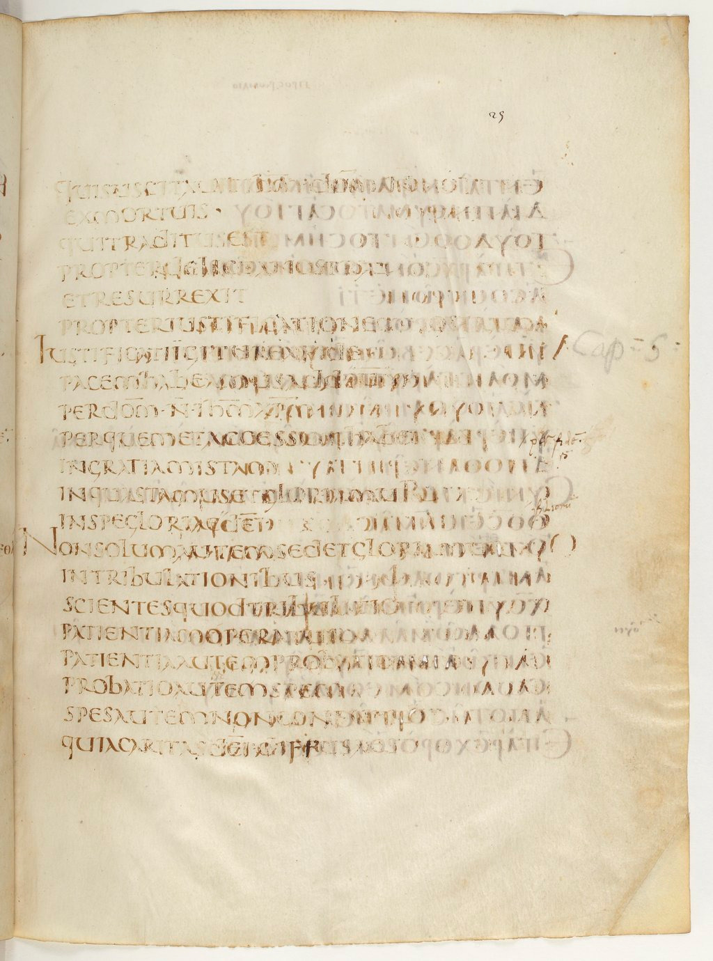 Codex Claromontanus (Scan 2) showing Romans 5:2 from 5th / 6th Century found in Clermont-Ferrand, France, currently housed at Bibliothèque nationale de France, Paris