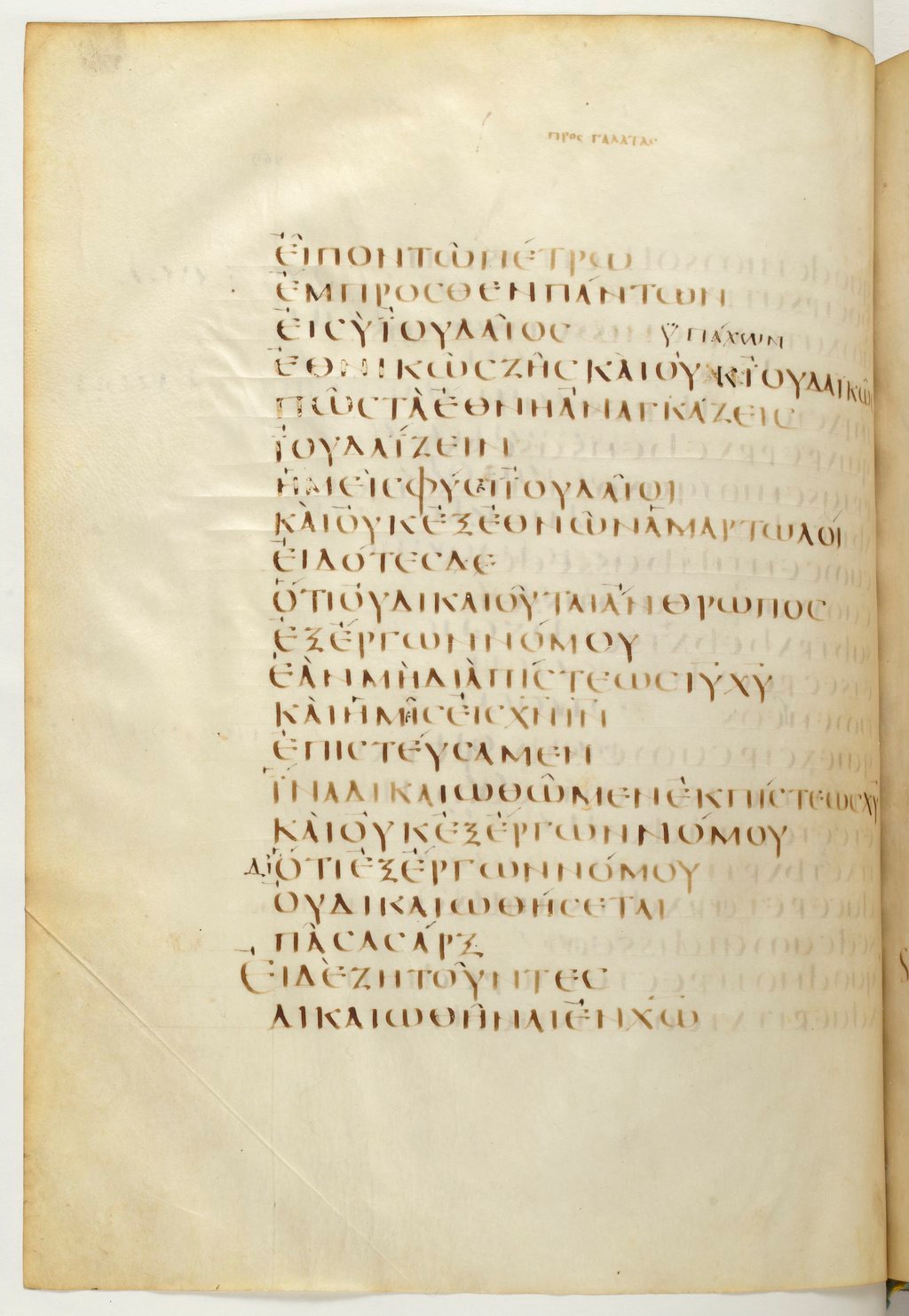 Codex Claromontanus (Scan 1) showing Galatians 2:16 from 5th / 6th Century found in Clermont-Ferrand, France, currently housed at Bibliothèque nationale de France, Paris