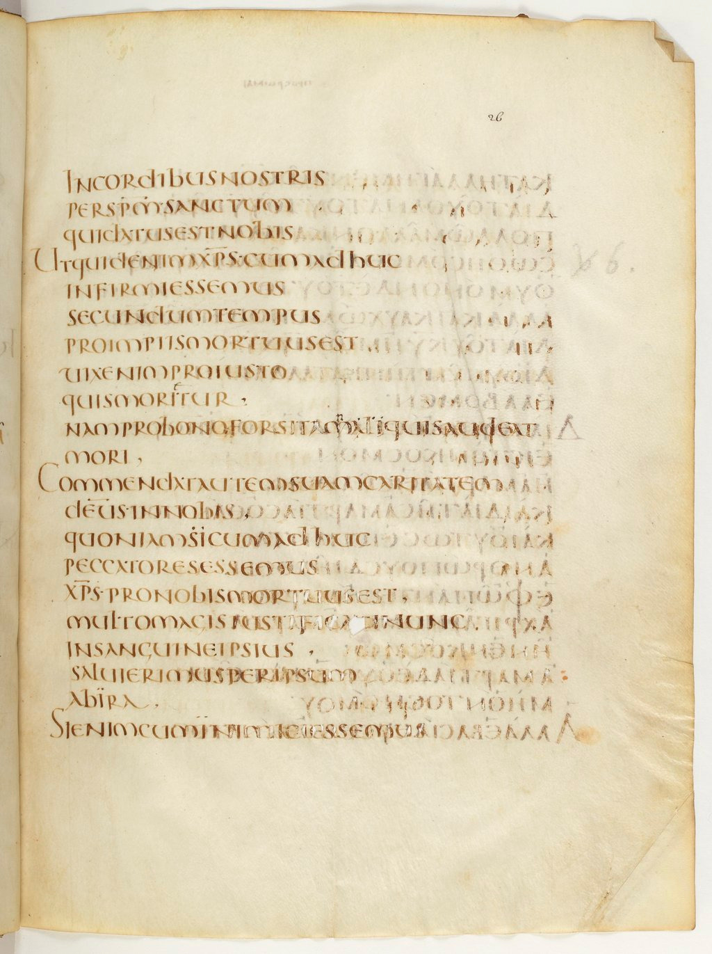 Codex Claromontanus (Scan 2) showing Romans 5:7 from 5th / 6th Century found in Clermont-Ferrand, France, currently housed at Bibliothèque nationale de France, Paris
