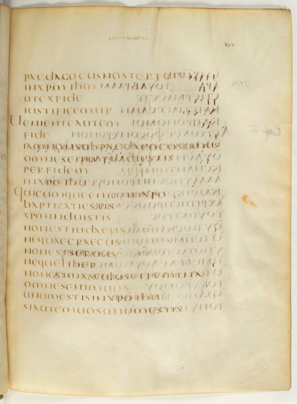 Codex Claromontanus (Scan 2) showing Galatians 3:28 from 5th / 6th Century found in Clermont-Ferrand, France, currently housed at Bibliothèque nationale de France, Paris