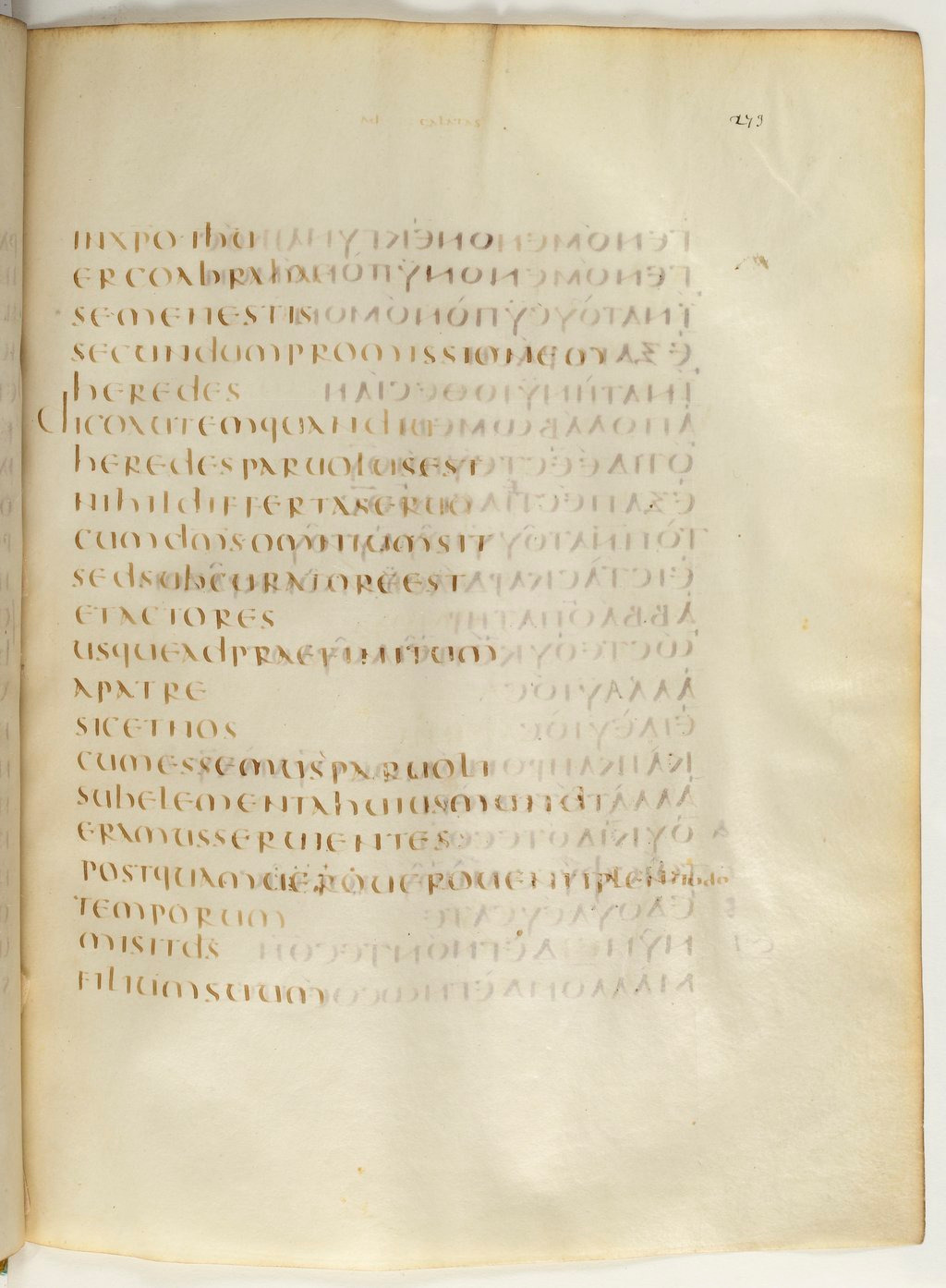 Codex Claromontanus (Scan 2) showing Galatians 4:2 from 5th / 6th Century found in Clermont-Ferrand, France, currently housed at Bibliothèque nationale de France, Paris