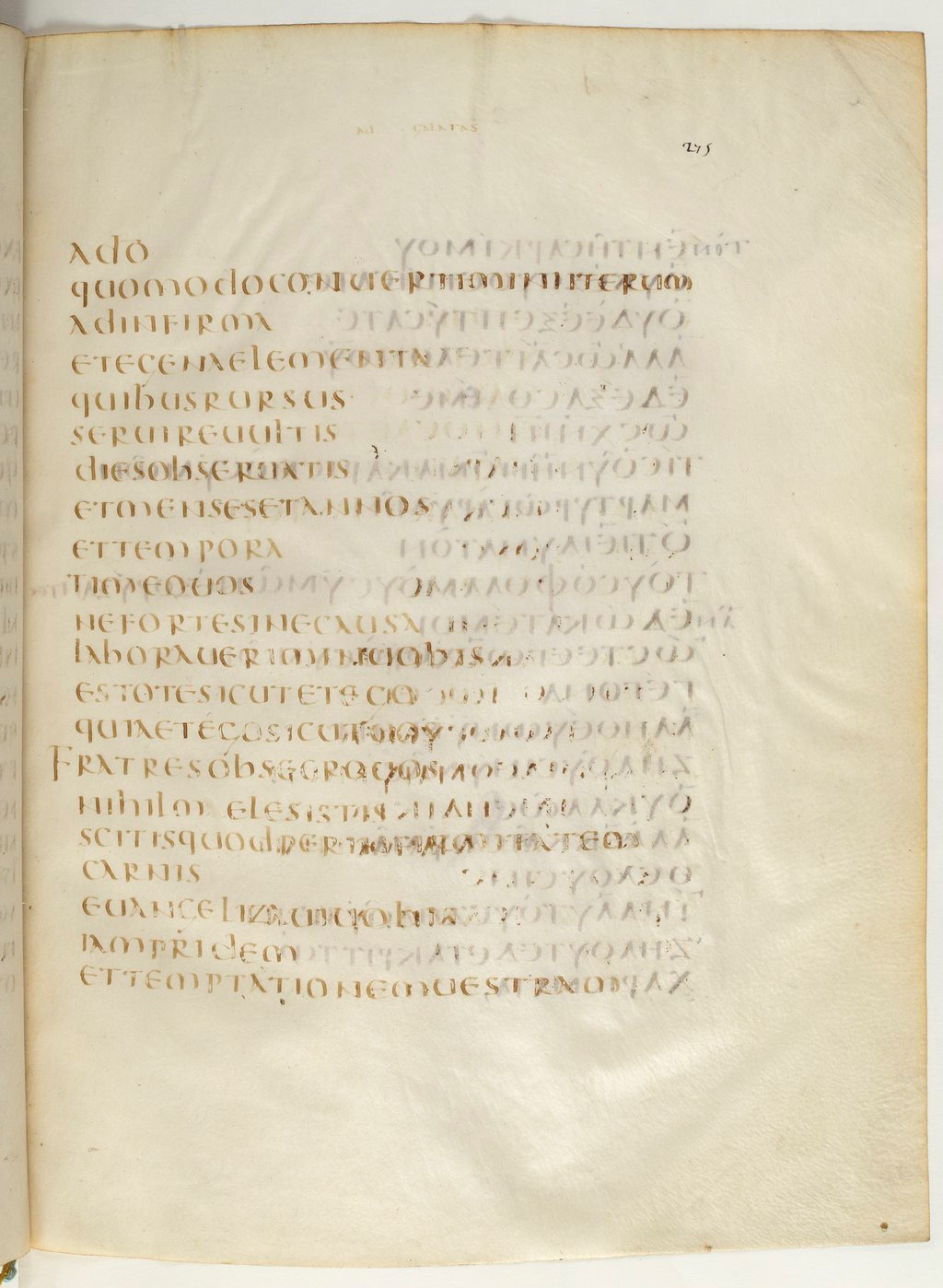 Codex Claromontanus (Scan 2) showing Galatians 4:13 from 5th / 6th Century found in Clermont-Ferrand, France, currently housed at Bibliothèque nationale de France, Paris