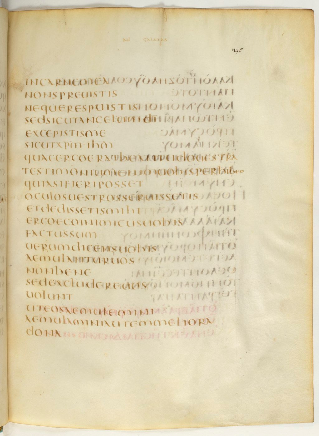Codex Claromontanus (Scan 2) showing Galatians 4:17 from 5th / 6th Century found in Clermont-Ferrand, France, currently housed at Bibliothèque nationale de France, Paris