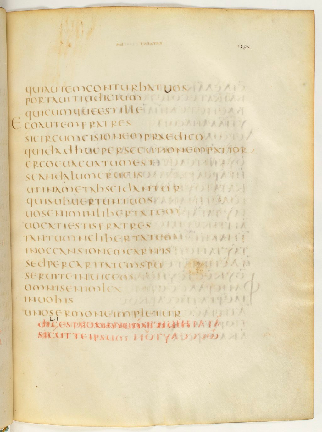 Codex Claromontanus (Scan 4) showing Galatians 5:10 from 5th / 6th Century found in Clermont-Ferrand, France, currently housed at Bibliothèque nationale de France, Paris