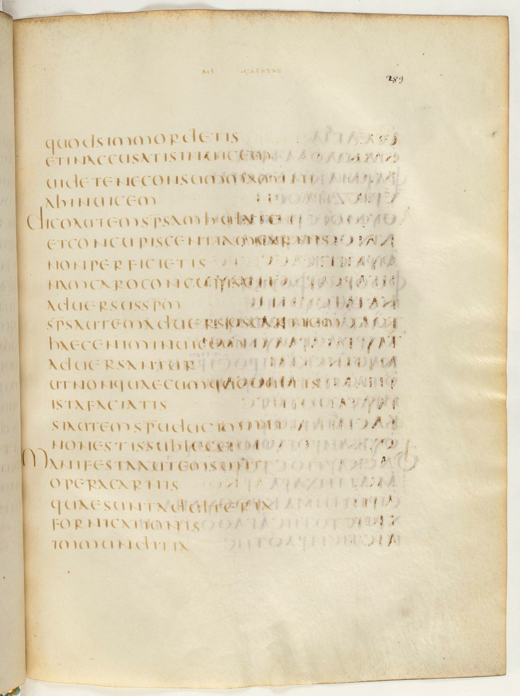 Codex Claromontanus (Scan 2) showing Galatians 5:19 from 5th / 6th Century found in Clermont-Ferrand, France, currently housed at Bibliothèque nationale de France, Paris