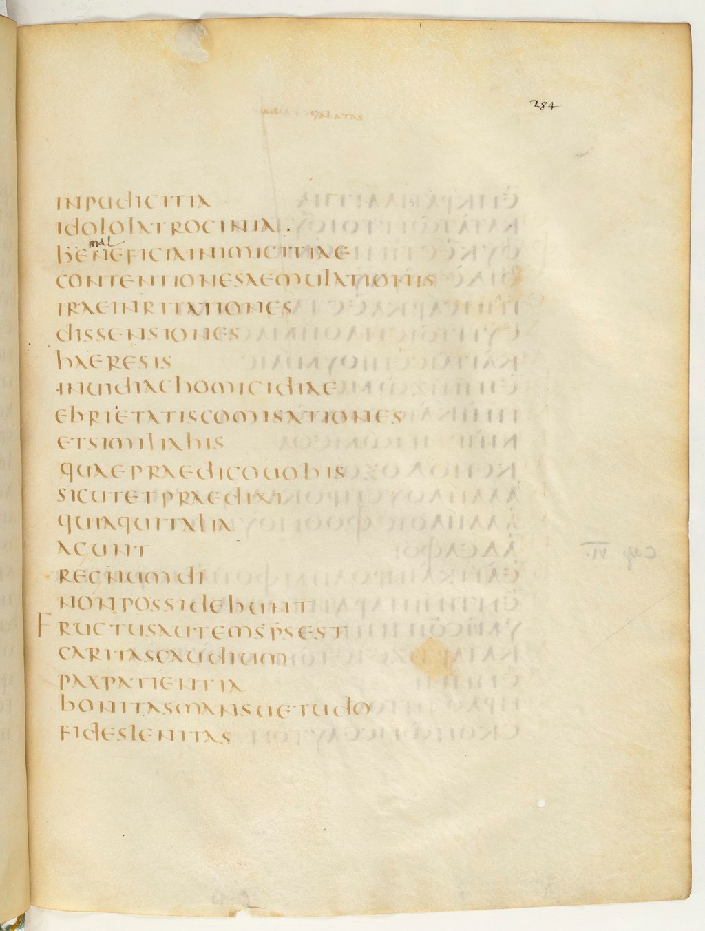 Codex Claromontanus (Scan 2) showing Galatians 5:21 from 5th / 6th Century found in Clermont-Ferrand, France, currently housed at Bibliothèque nationale de France, Paris