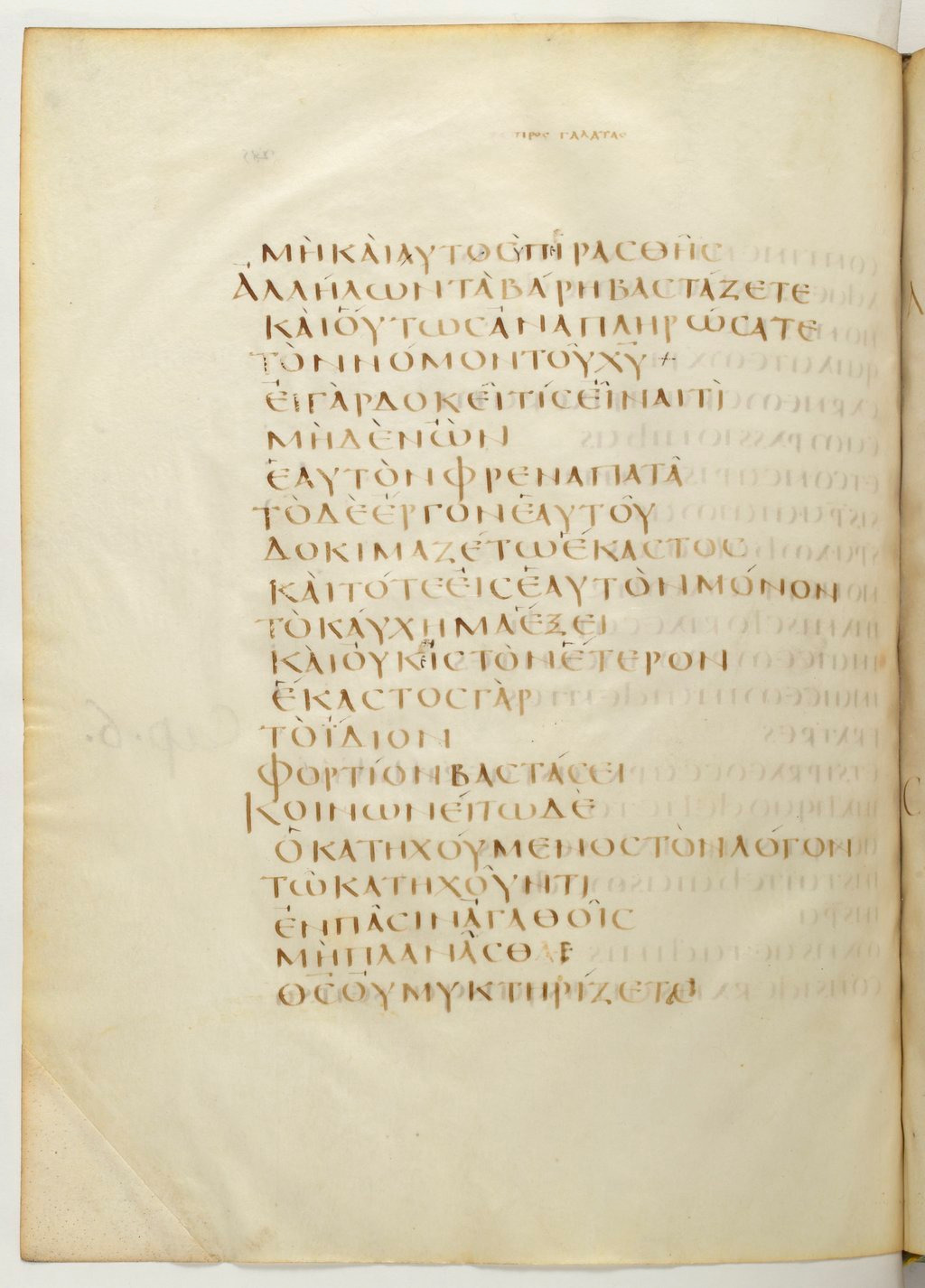 Codex Claromontanus (Scan 1) showing Galatians 6:4 from 5th / 6th Century found in Clermont-Ferrand, France, currently housed at Bibliothèque nationale de France, Paris