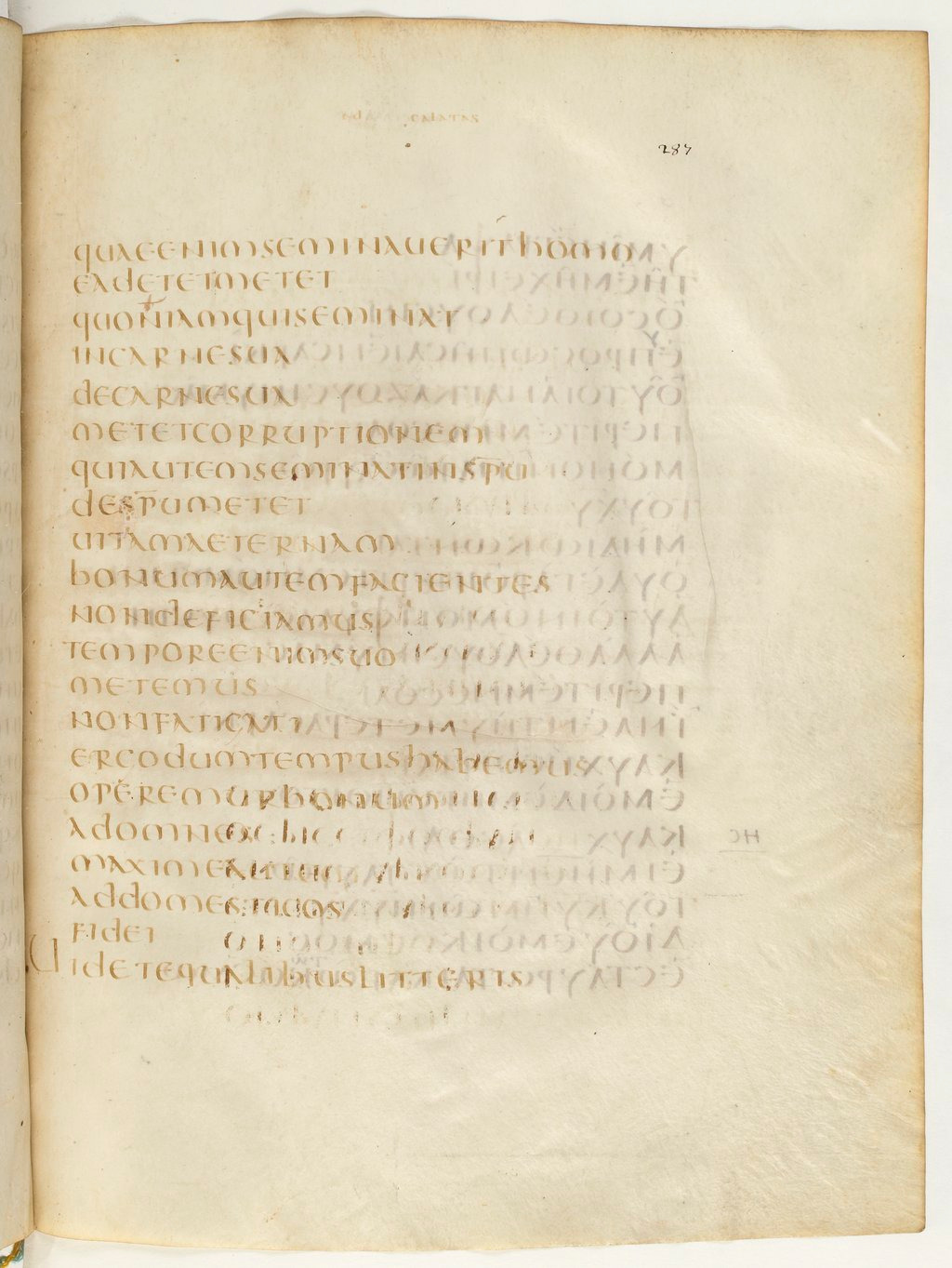 Codex Claromontanus (Scan 4) showing Galatians 6:7 from 5th / 6th Century found in Clermont-Ferrand, France, currently housed at Bibliothèque nationale de France, Paris