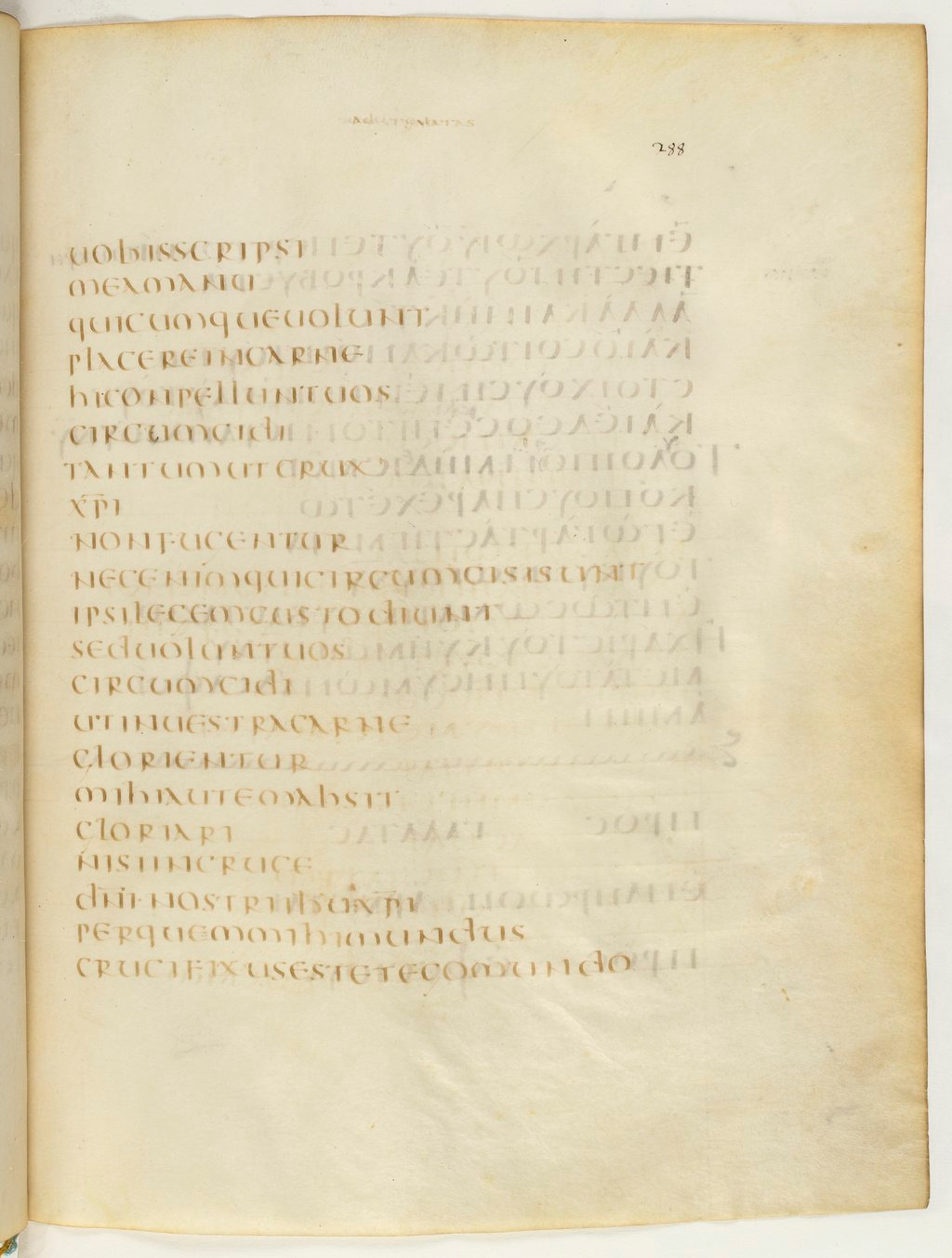 Codex Claromontanus (Scan 2) showing Galatians 6:12 from 5th / 6th Century found in Clermont-Ferrand, France, currently housed at Bibliothèque nationale de France, Paris