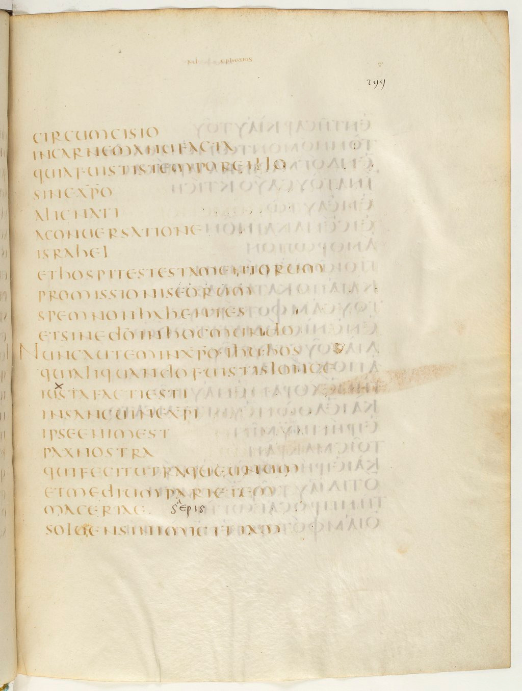 Codex Claromontanus (Scan 2) showing Ephesians 2:14 from 5th / 6th Century found in Clermont-Ferrand, France, currently housed at Bibliothèque nationale de France, Paris