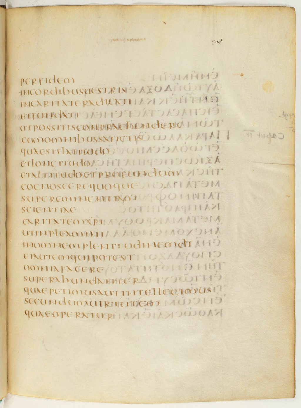 Codex Claromontanus (Scan 2) showing Ephesians 3:19 from 5th / 6th Century found in Clermont-Ferrand, France, currently housed at Bibliothèque nationale de France, Paris