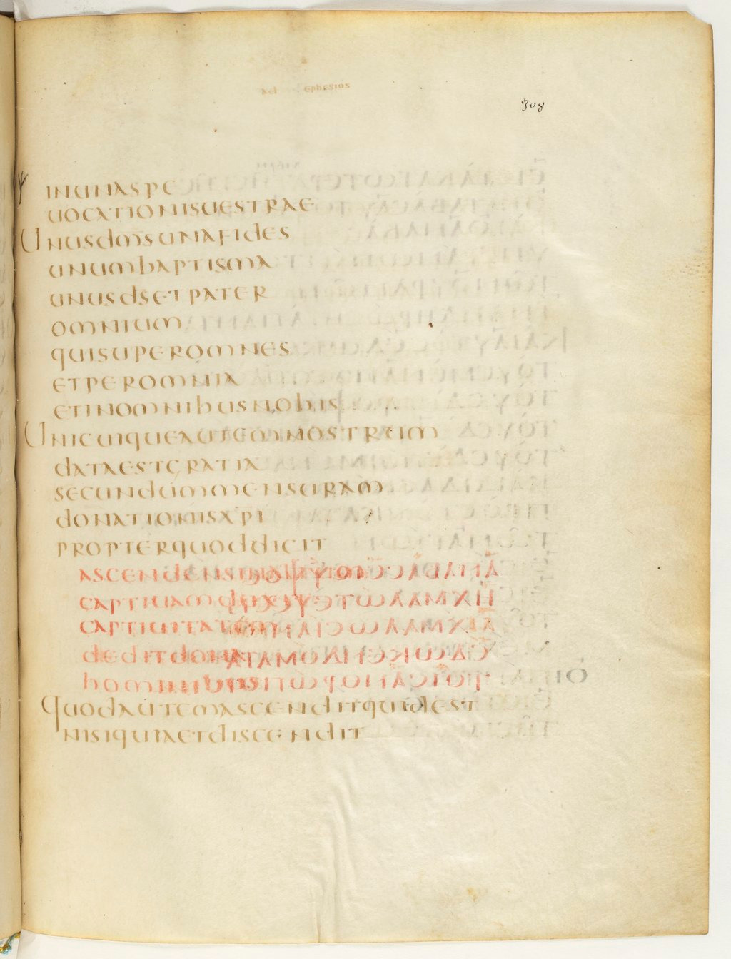 Codex Claromontanus (Scan 4) showing Ephesians 4:4 from 5th / 6th Century found in Clermont-Ferrand, France, currently housed at Bibliothèque nationale de France, Paris