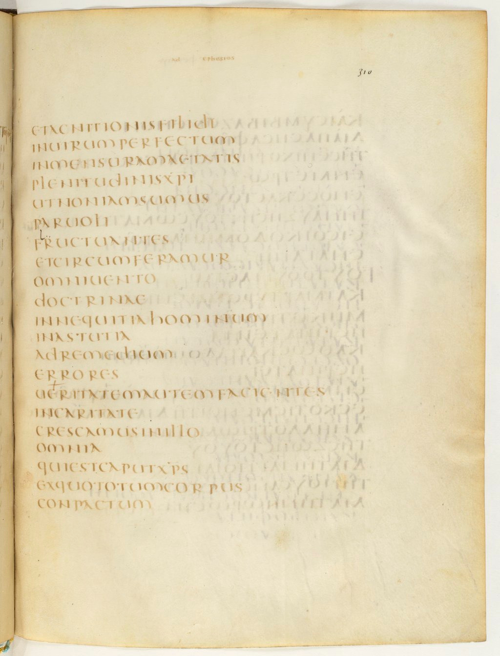 Codex Claromontanus (Scan 2) showing Ephesians 4:16 from 5th / 6th Century found in Clermont-Ferrand, France, currently housed at Bibliothèque nationale de France, Paris