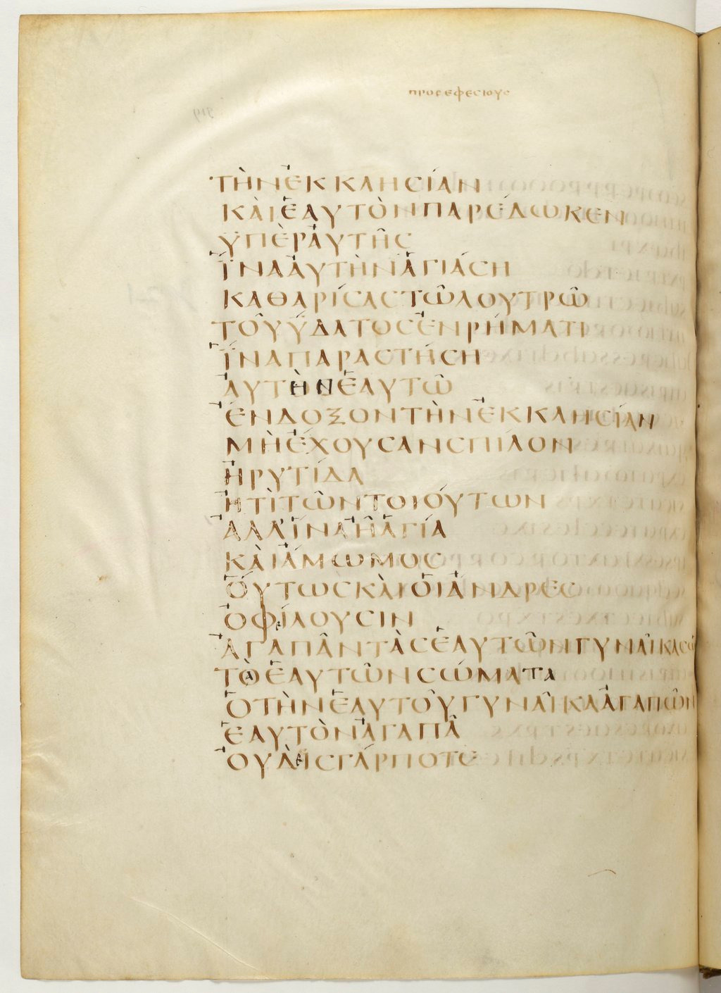 Codex Claromontanus (Scan 1) showing Ephesians 5:28 from 5th / 6th Century found in Clermont-Ferrand, France, currently housed at Bibliothèque nationale de France, Paris