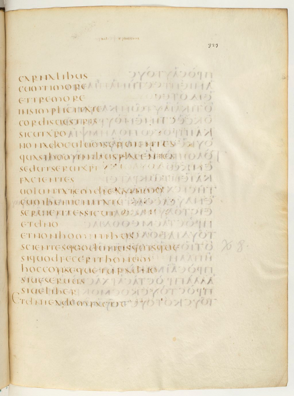 Codex Claromontanus (Scan 2) showing Ephesians 6:8 from 5th / 6th Century found in Clermont-Ferrand, France, currently housed at Bibliothèque nationale de France, Paris