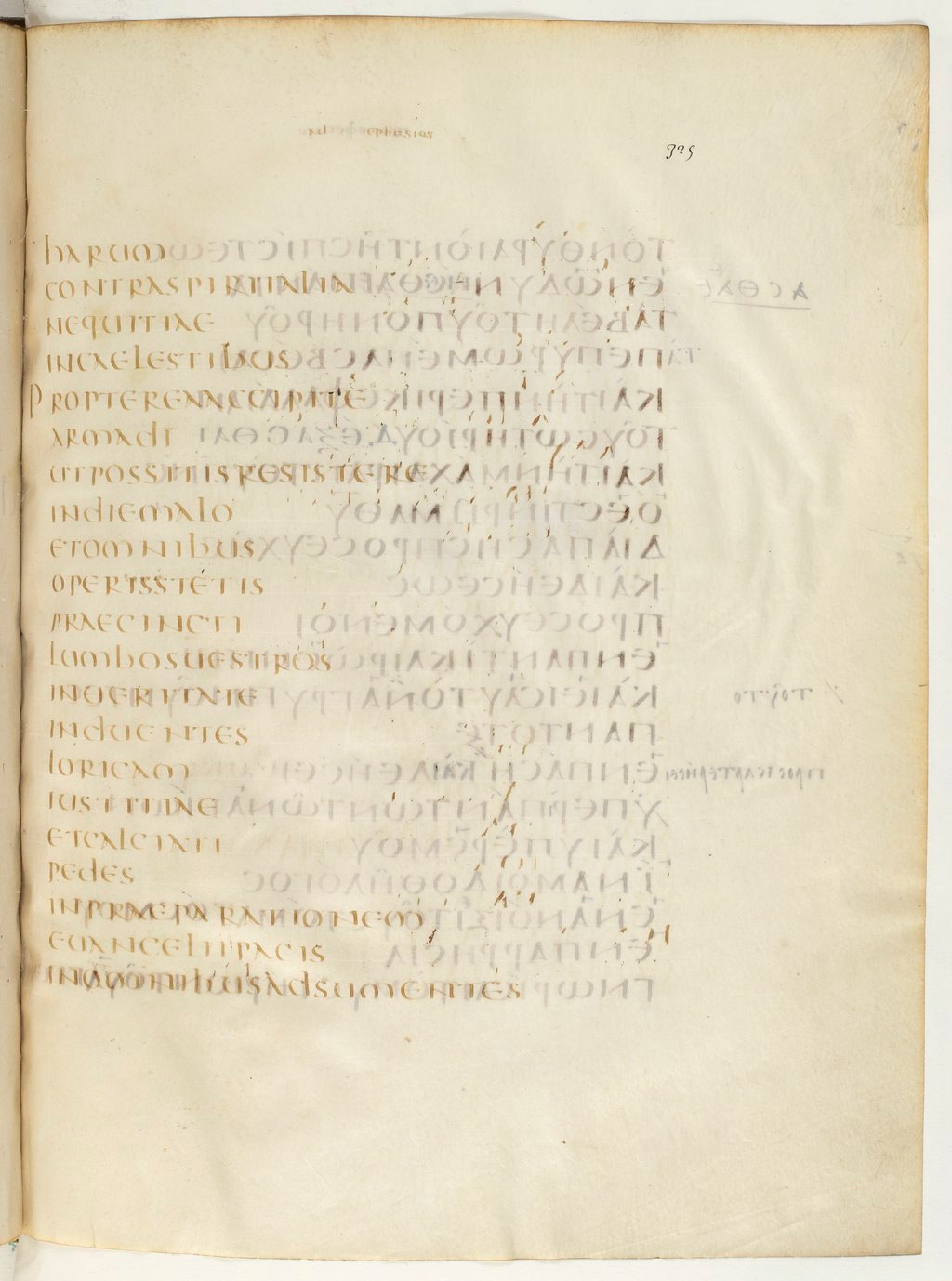 Codex Claromontanus (Scan 4) showing Ephesians 6:12 from 5th / 6th Century found in Clermont-Ferrand, France, currently housed at Bibliothèque nationale de France, Paris