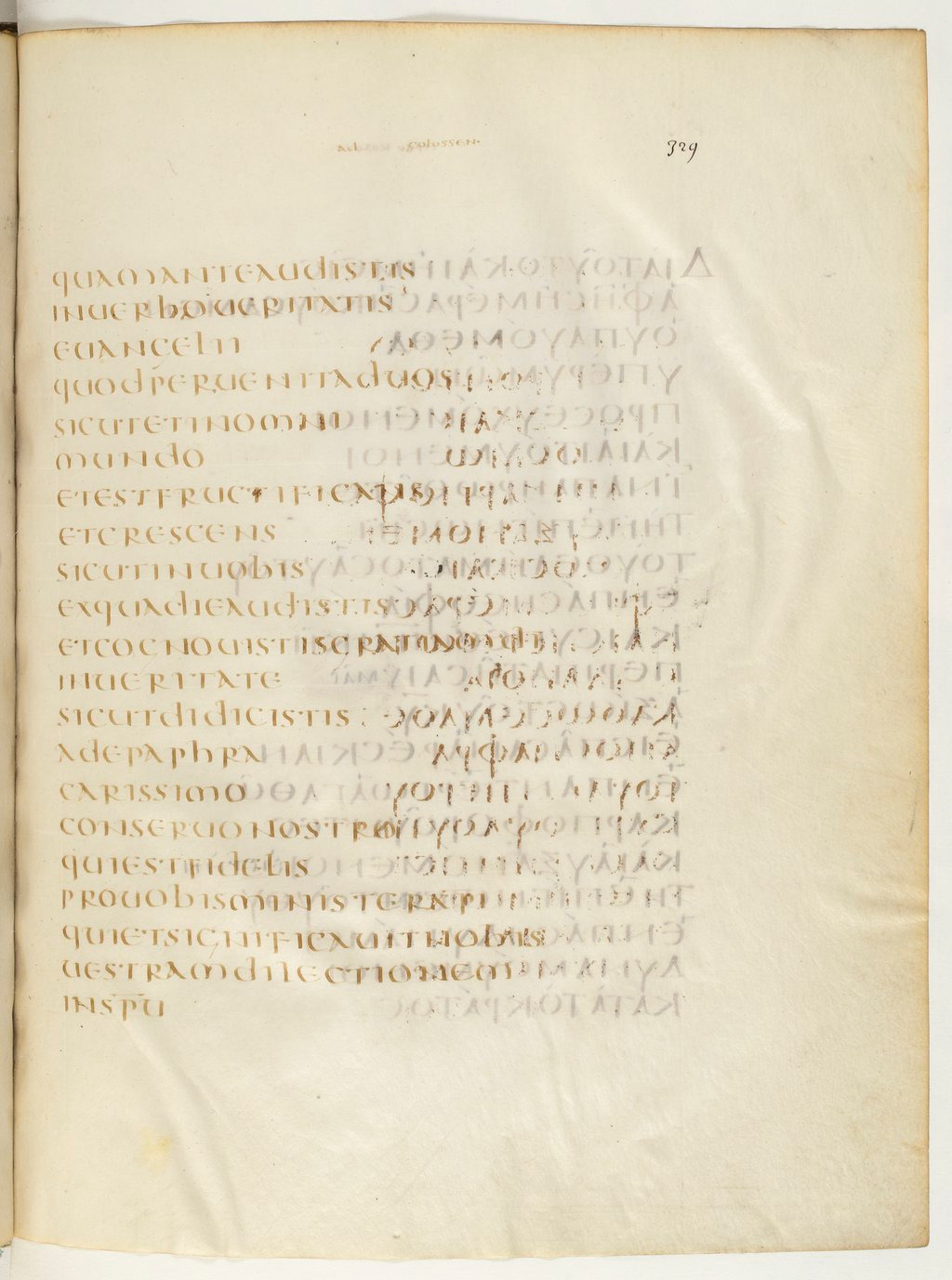 Codex Claromontanus (Scan 2) showing Colossians 1:7 from 5th / 6th Century found in Clermont-Ferrand, France, currently housed at Bibliothèque nationale de France, Paris