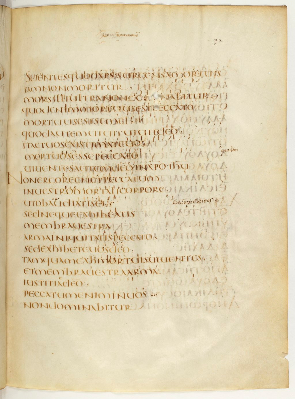 Codex Claromontanus (Scan 2) showing Romans 6:13 from 5th / 6th Century found in Clermont-Ferrand, France, currently housed at Bibliothèque nationale de France, Paris