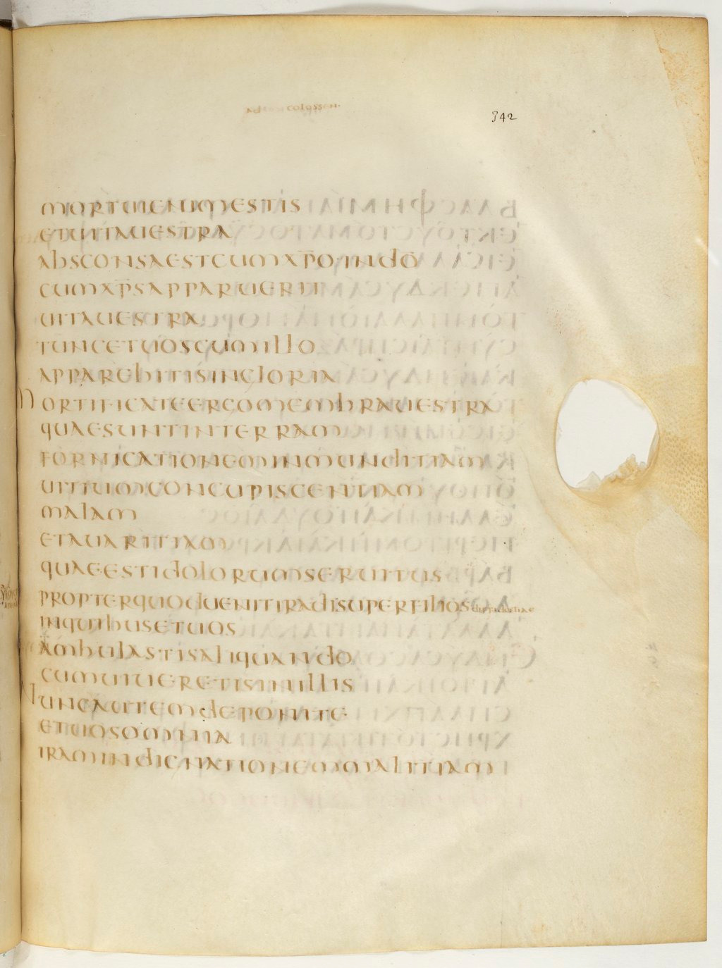 Codex Claromontanus (Scan 2) showing Colossians 3:7 from 5th / 6th Century found in Clermont-Ferrand, France, currently housed at Bibliothèque nationale de France, Paris