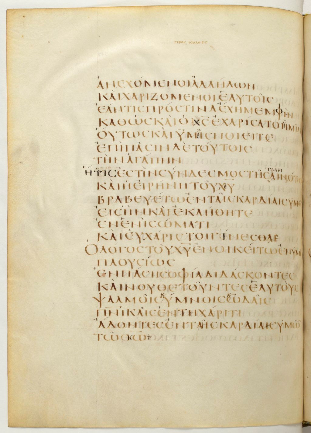 Codex Claromontanus (Scan 1) showing Colossians 3:16 from 5th / 6th Century found in Clermont-Ferrand, France, currently housed at Bibliothèque nationale de France, Paris