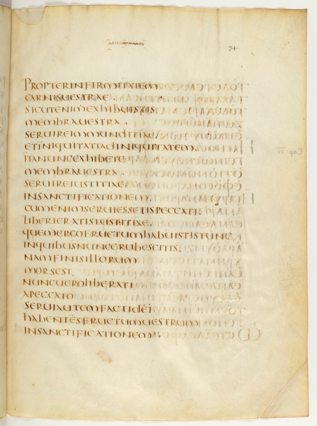 Codex Claromontanus (Scan 2) showing Romans 6:21 from 5th / 6th Century found in Clermont-Ferrand, France, currently housed at Bibliothèque nationale de France, Paris