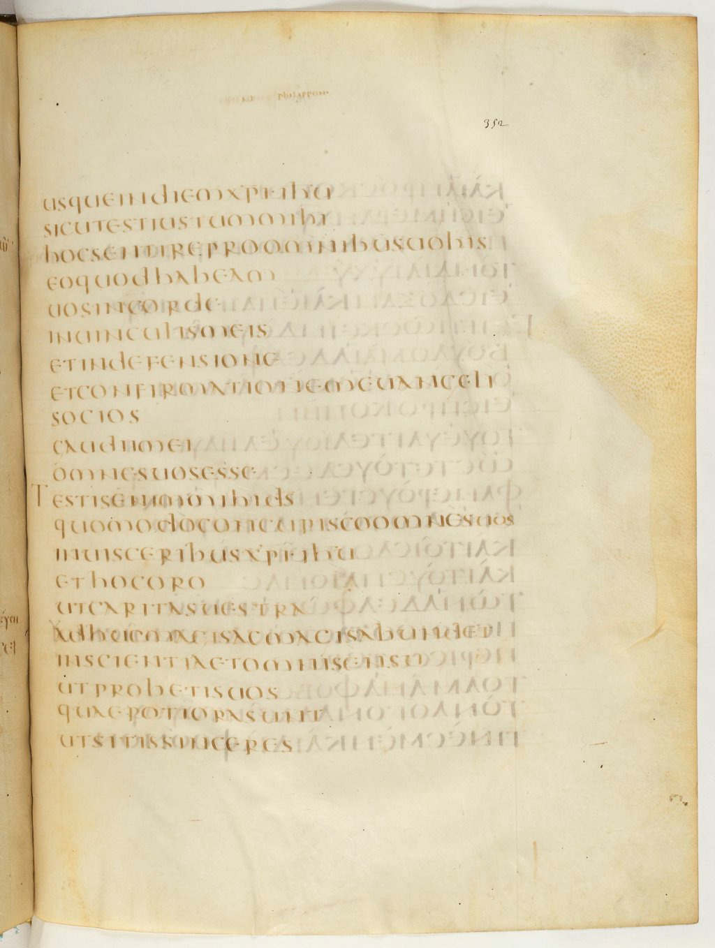 Codex Claromontanus (Scan 2) showing Philippians 1:8 from 5th / 6th Century found in Clermont-Ferrand, France, currently housed at Bibliothèque nationale de France, Paris