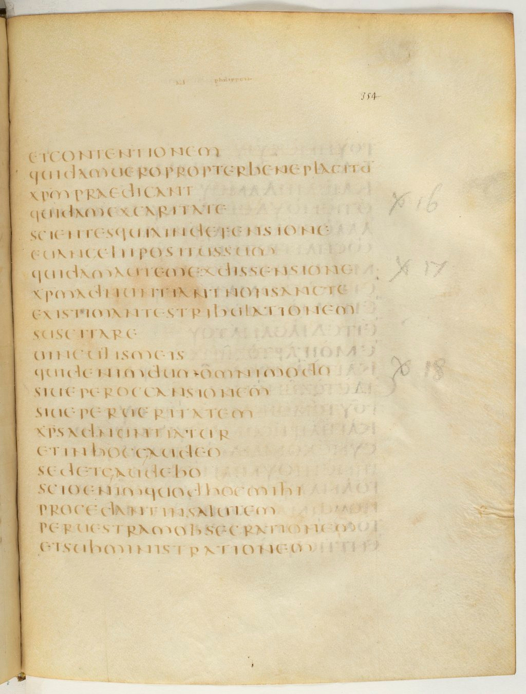 Codex Claromontanus (Scan 2) showing Philippians 1:18 from 5th / 6th Century found in Clermont-Ferrand, France, currently housed at Bibliothèque nationale de France, Paris