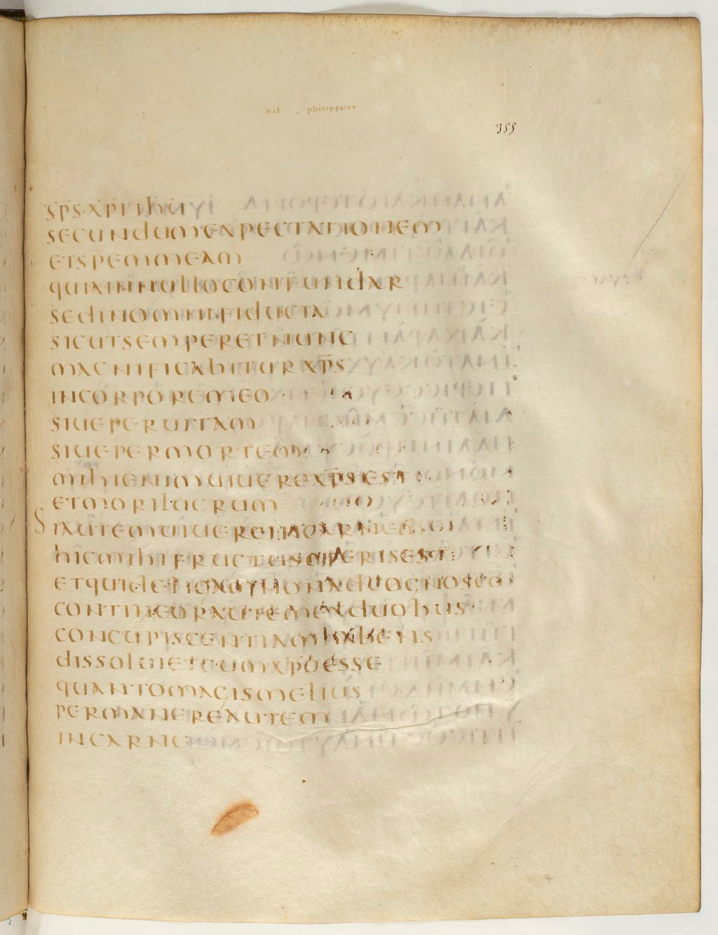 Codex Claromontanus (Scan 2) showing Philippians 1:21 from 5th / 6th Century found in Clermont-Ferrand, France, currently housed at Bibliothèque nationale de France, Paris