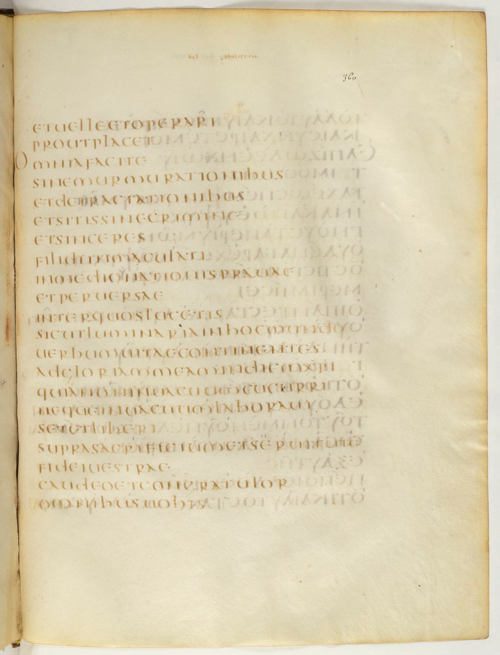 Codex Claromontanus (Scan 2) showing Philippians 2:16 from 5th / 6th Century found in Clermont-Ferrand, France, currently housed at Bibliothèque nationale de France, Paris