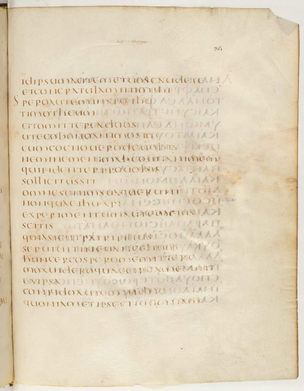 Codex Claromontanus (Scan 2) showing Philippians 2:21 from 5th / 6th Century found in Clermont-Ferrand, France, currently housed at Bibliothèque nationale de France, Paris