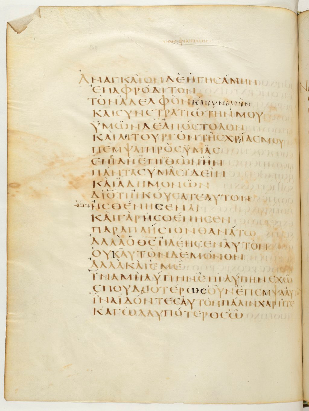 Codex Claromontanus (Scan 1) showing Philippians 2:28 from 5th / 6th Century found in Clermont-Ferrand, France, currently housed at Bibliothèque nationale de France, Paris
