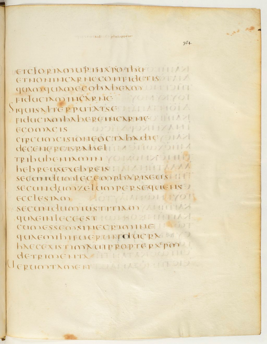 Codex Claromontanus (Scan 2) showing Philippians 3:4 from 5th / 6th Century found in Clermont-Ferrand, France, currently housed at Bibliothèque nationale de France, Paris