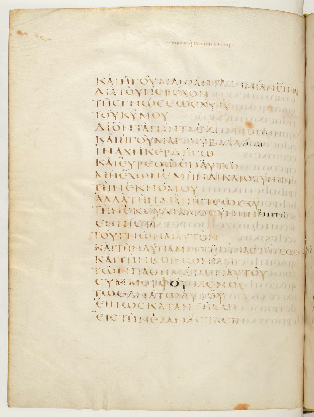 Codex Claromontanus (Scan 3) showing Philippians 3:8 from 5th / 6th Century found in Clermont-Ferrand, France, currently housed at Bibliothèque nationale de France, Paris